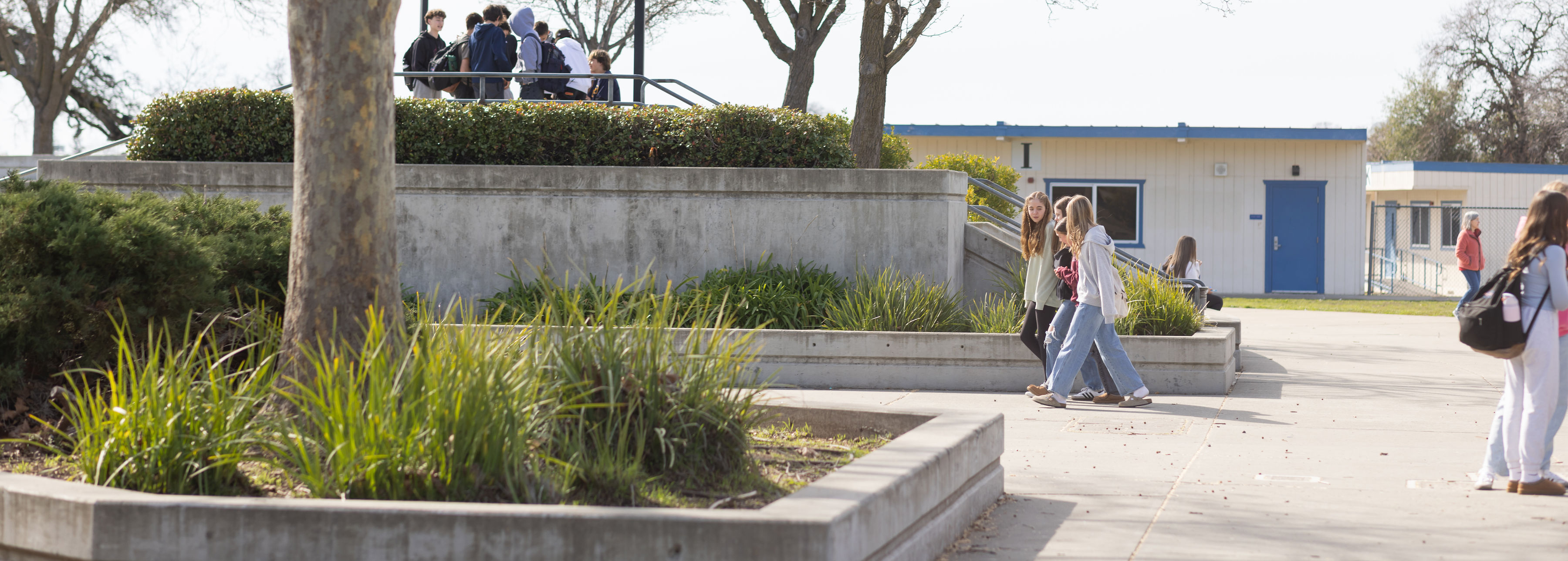 Spring View Middle Report an Absence - Spring View Middle School